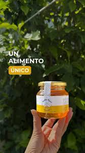APICULTURA BIGAND MIEL PURA DE ABEJAS X280grs