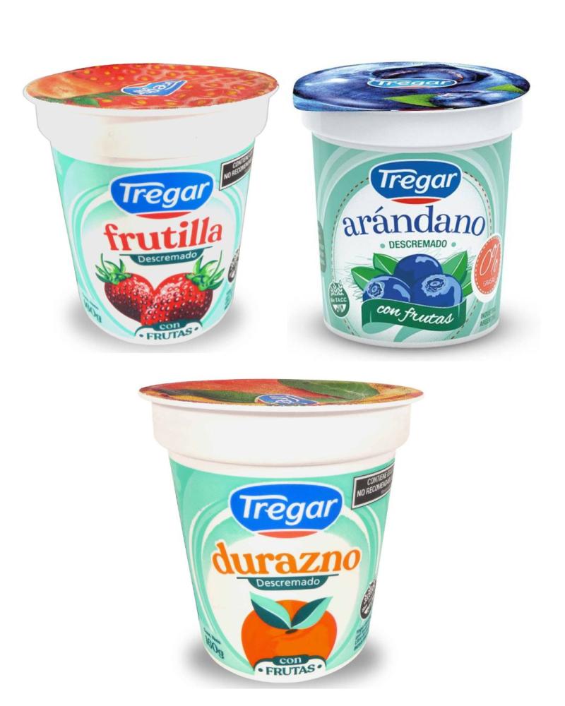 TREGAR YOGUR DESC C/FRUTAS X 160