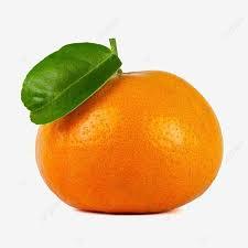 MANDARINA CRIOLLA X KG